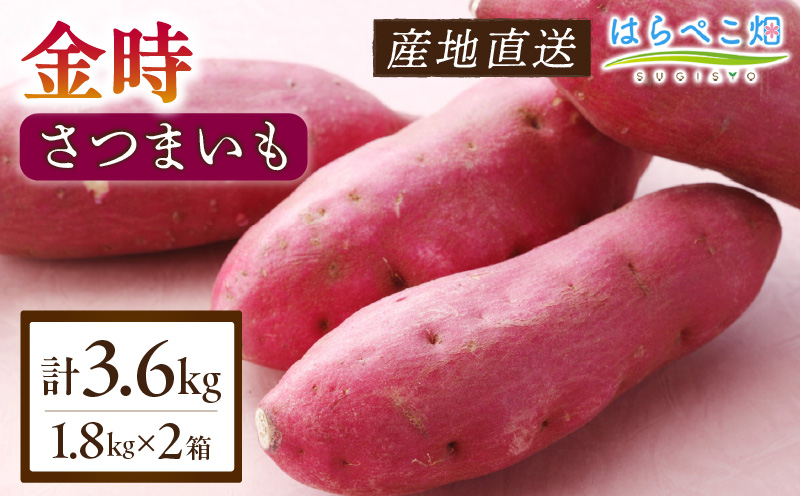 【ホックホク食感の優しい甘み】さつまいも金時 1.8kg 2箱・H115