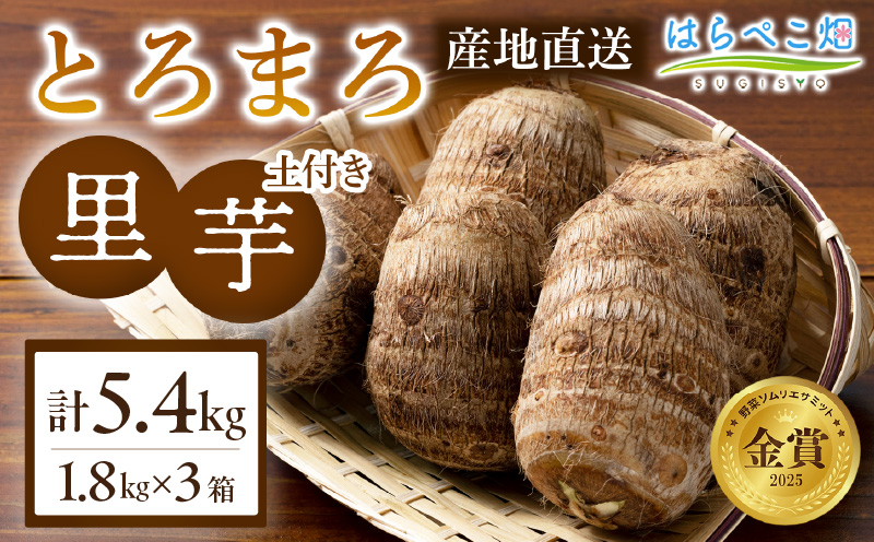 【粘りと甘みが段違い】里芋『とろまろ』土付き・1.8kg 3箱・H120