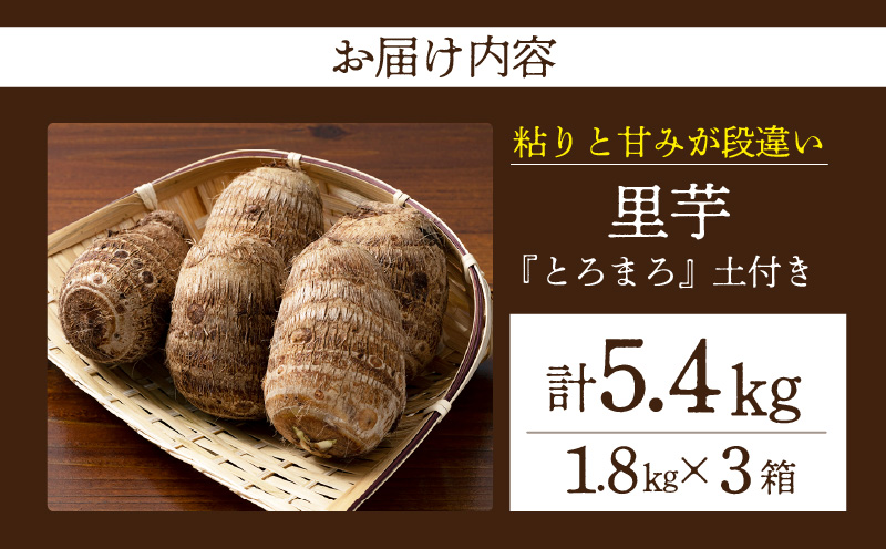 ãç²ããšçã¿ã段éããéèããšããŸããåä»ãã»1.8kg 3ç®±ã»H120