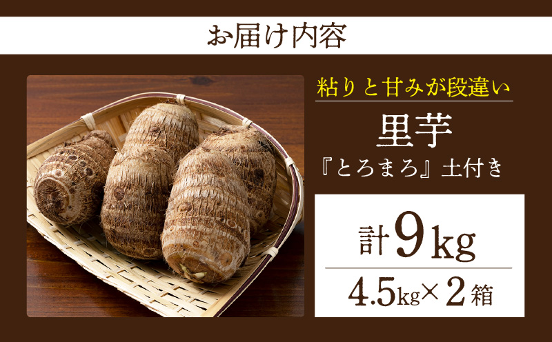 ãç²ããšçã¿ã段éããéèããšããŸããåä»ã 4.5kg 2ç®±ã»H121