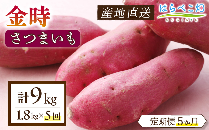 【定期便5ヶ月】さつまいも 金時 1.8kg・H129