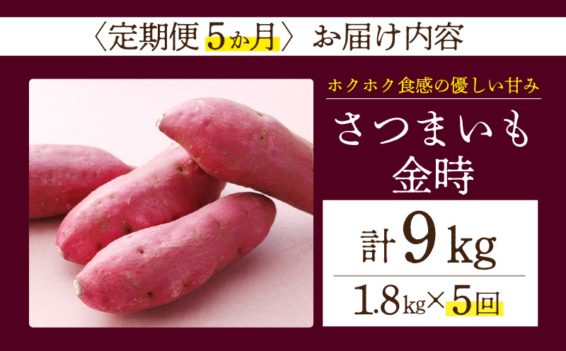 【定期便5ヶ月】さつまいも 金時 1.8kg・H129