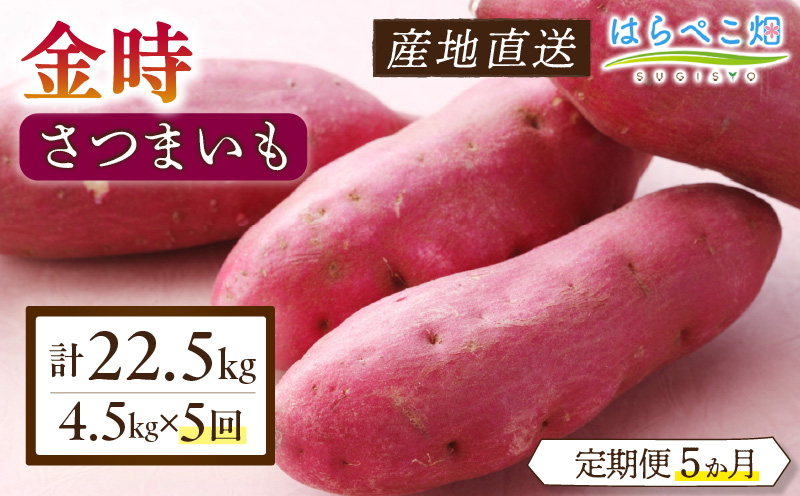 【定期便5ヶ月】さつまいも 金時 4.5kg・H133
