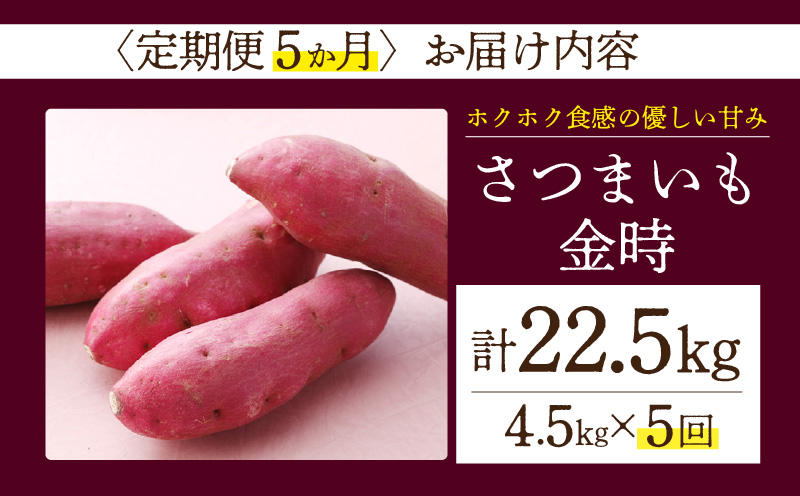 【定期便5ヶ月】さつまいも 金時 4.5kg・H133