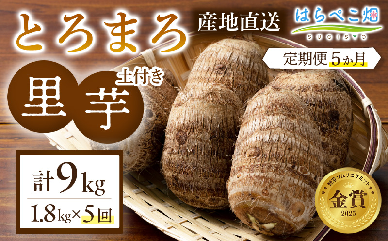 【定期便5ヶ月】里芋『とろまろ』土付き 1.8kg・H137