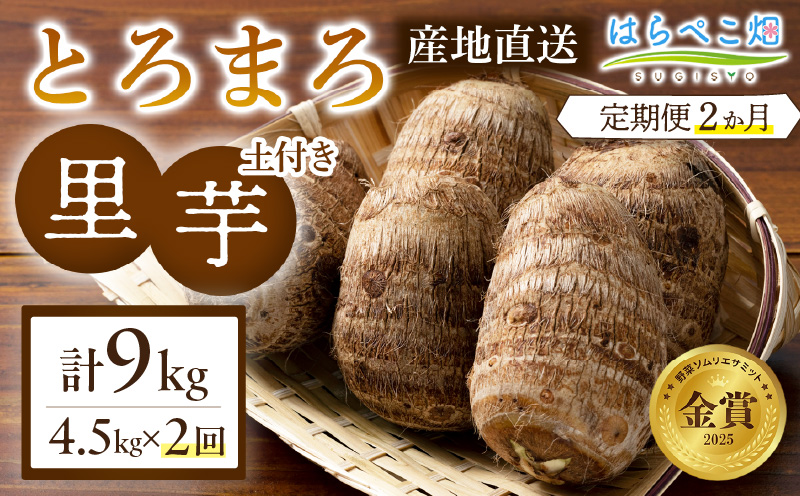 【定期便2ヶ月】里芋『とろまろ』土付き 4.5kg・H138