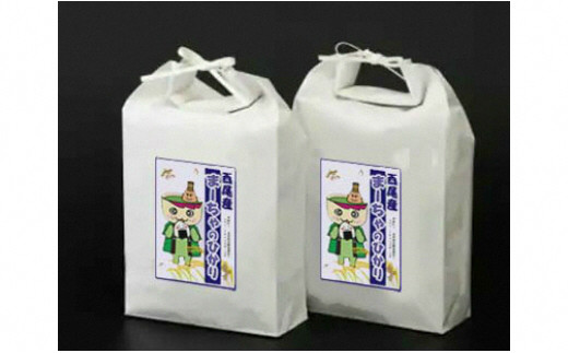 【令和7年産】西尾のお米10kg(こしひかり5kg×2)・K195-26