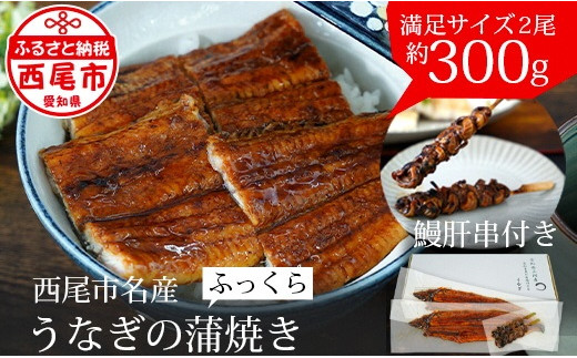 【通常発送】三河産うなぎ「蒲焼冷凍×2尾」(合計300g)＋鰻肝2本付 ≪冷凍≫・A114-18