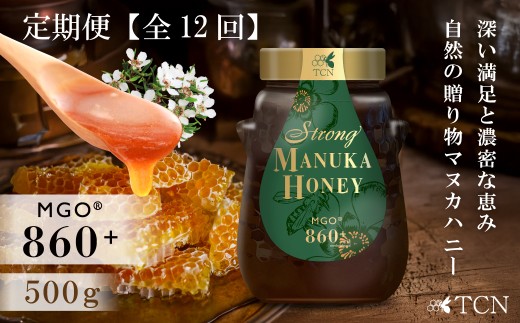ãå®æäŸ¿å
š12åãããã«ãã㌠MGO860+ 500g ã¹ããã³ã°ããã«ãããŒã»T146