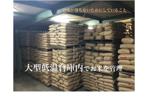 縲蝉サ、蜥8蟷エ逕」縲題・ソ蟆セ逕」 鄙皮アウシ医%縺励イ縺九jシ5kg 辟。豢礼アウ 譁ー邀ウ繝サK213-11