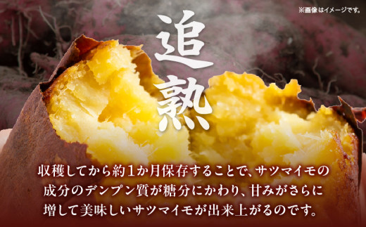 【定期便5ヶ月】さつまいも 金時 1.8kg・H129