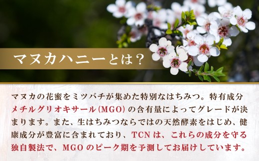 ãå®æäŸ¿å
š12åãããã«ãã㌠MGO550+ 500g ã€ã³ã«ãã ããã«ãããŒã»T144
