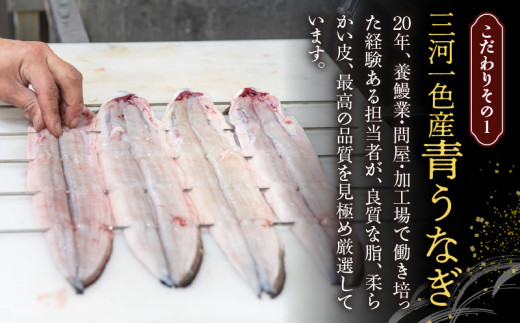 【厳選】三河一色産炭火焼青うなぎ　蒲焼2尾340ｇ以上・U045-230