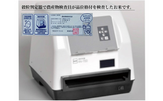 縲蝉サ、蜥8蟷エ逕」縲題・ソ蟆セ逕」 鄙皮アウシ医%縺励イ縺九jシ5kg 辟。豢礼アウ 譁ー邀ウ繝サK213-11