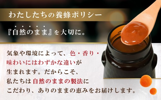 【定期便全６回】マヌカハニー MGO860+ 500g ストロングマヌカハニー・T145