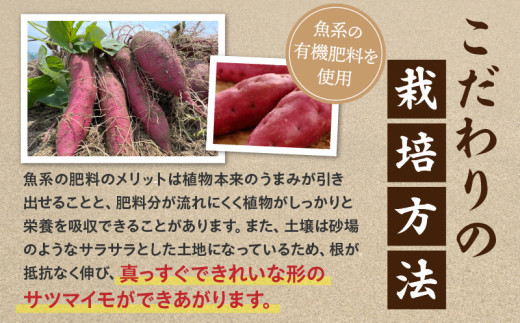 【定期便5ヶ月】さつまいも 金時 1.8kg・H129