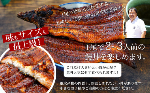 縲願ヲ乗シ螟悶し繧、繧コシ√九→縺ヲ繧ょ、ァ縺阪↑荳画イウ逕」縺縺ェ縺 闥イ辟シ1蟆セシ300g莉・荳奇シ 蝗ス逕」 魏サ 諢帷衍繝サA135-13