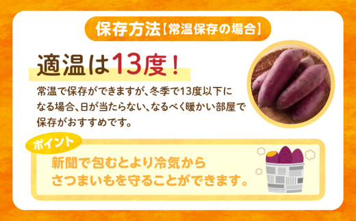 【定期便5ヶ月】さつまいも 金時 1.8kg・H129