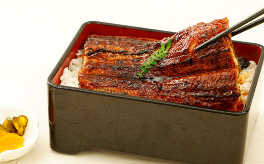 【期間限定】三河産　超特大うなぎ「蒲焼冷凍×2尾」・A090-17