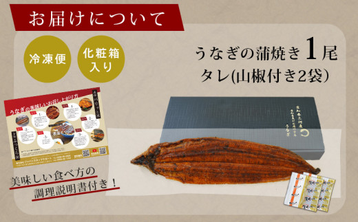 縲願ヲ乗シ螟悶し繧、繧コシ√九→縺ヲ繧ょ、ァ縺阪↑荳画イウ逕」縺縺ェ縺 闥イ辟シ1蟆セシ300g莉・荳奇シ 蝗ス逕」 魏サ 諢帷衍繝サA135-13