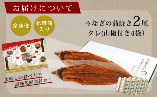 【通常発送】【期間限定】国産 三河産 うなぎ 超おばけサイズ 蒲焼き 2尾 (合計500g以上) 国産うなぎ 本格 鰻 ウナギ 蒲焼 愛知県 西尾市 愛知養魚 たれ付き 惣菜 海鮮 丑の日 土用の丑の日 ・A116-19