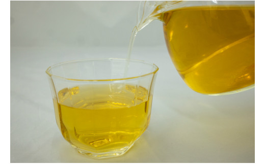 マンジェリコン茶(ゴールド)と苗2種類セット・T041-19