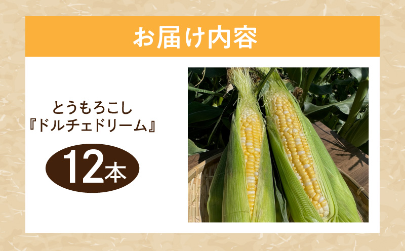 とうもろこし『ドルチェドリーム』（6本入／1箱）2セット・H124