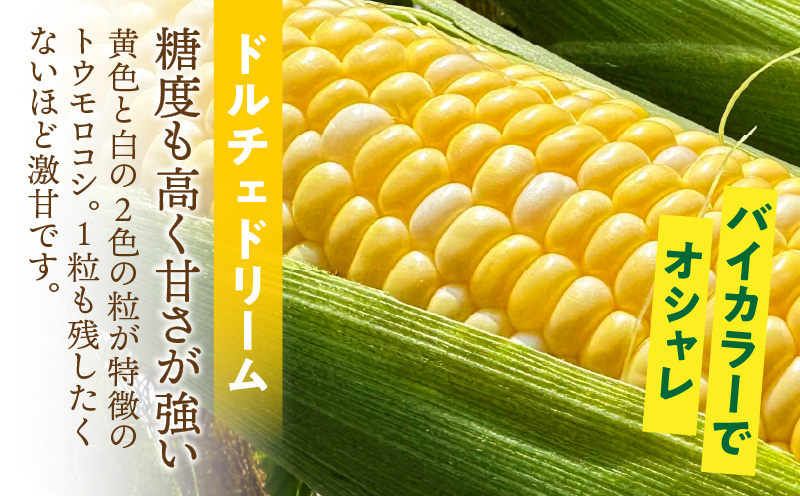 ãšãããããããã«ãã§ããªãŒã ãïŒ6æ¬å
¥ïŒ1ç®±ïŒ3ã»ããã»H125