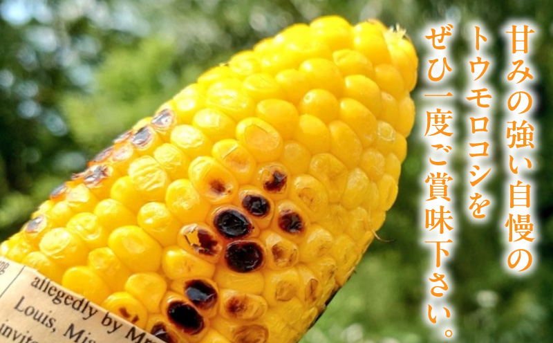 ãšãããããããã«ãã§ããªãŒã ãïŒ6æ¬å
¥ïŒ1ç®±ïŒ3ã»ããã»H125