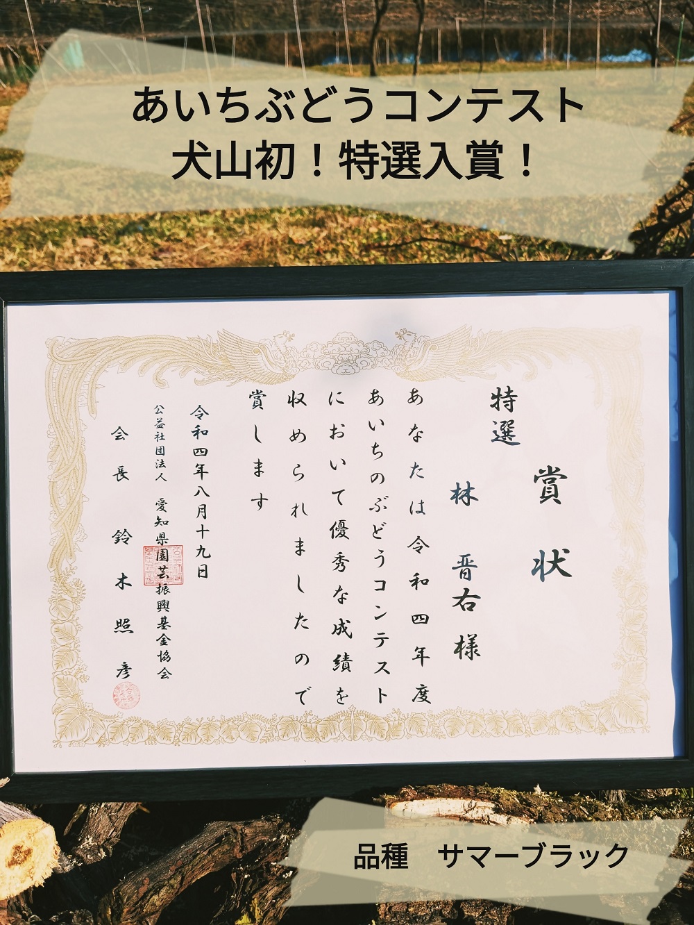 【期間限定・数量限定】犬山産 シャインマスカット 約2キロ（先行予約）