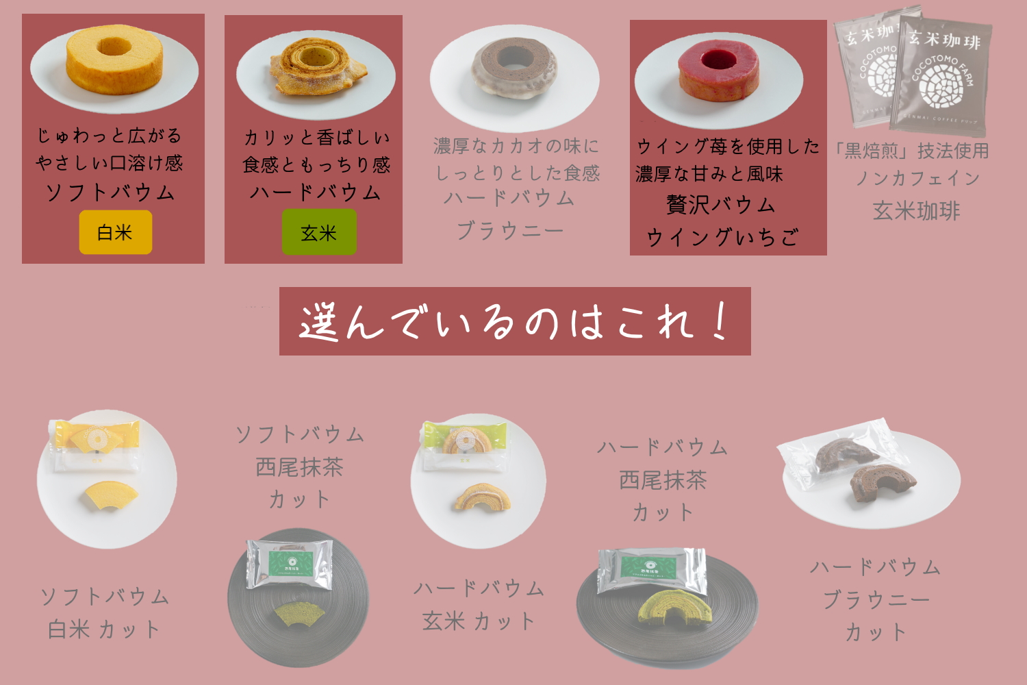 èªå®¶è£œçç±³ç²100%ã®ãã£ãšãããŠã ã¯ãŒãã³ã人æ°ãã³ã³ãã¢BOXãCA-03