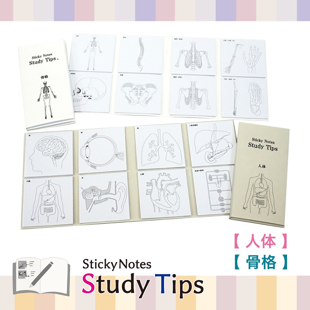 人体付箋 【Sticky Notes Study Tips】 (スタディチップス) 2種セット 人体・骨格