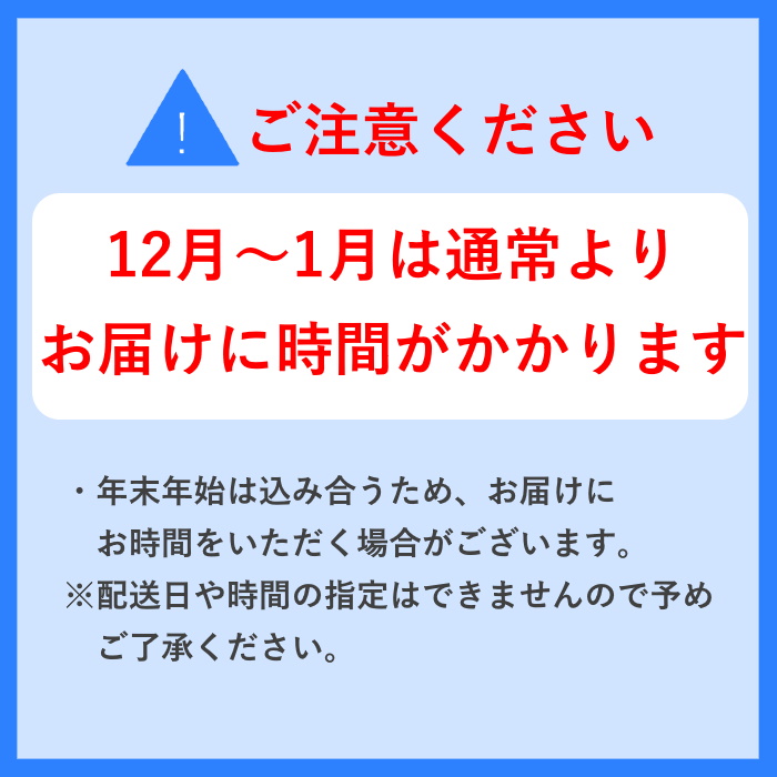 犬山美偉瀏（アルト）24本セット 