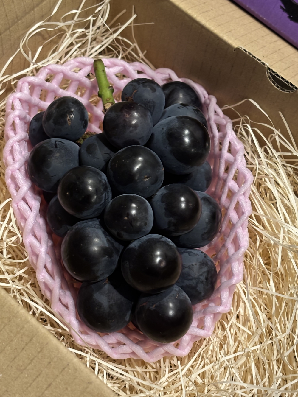 【2026年先行予約】犬山市楽田産 葡萄（シャインマスカット、ナガノパープル）、桃（あかつき）詰め合わせ