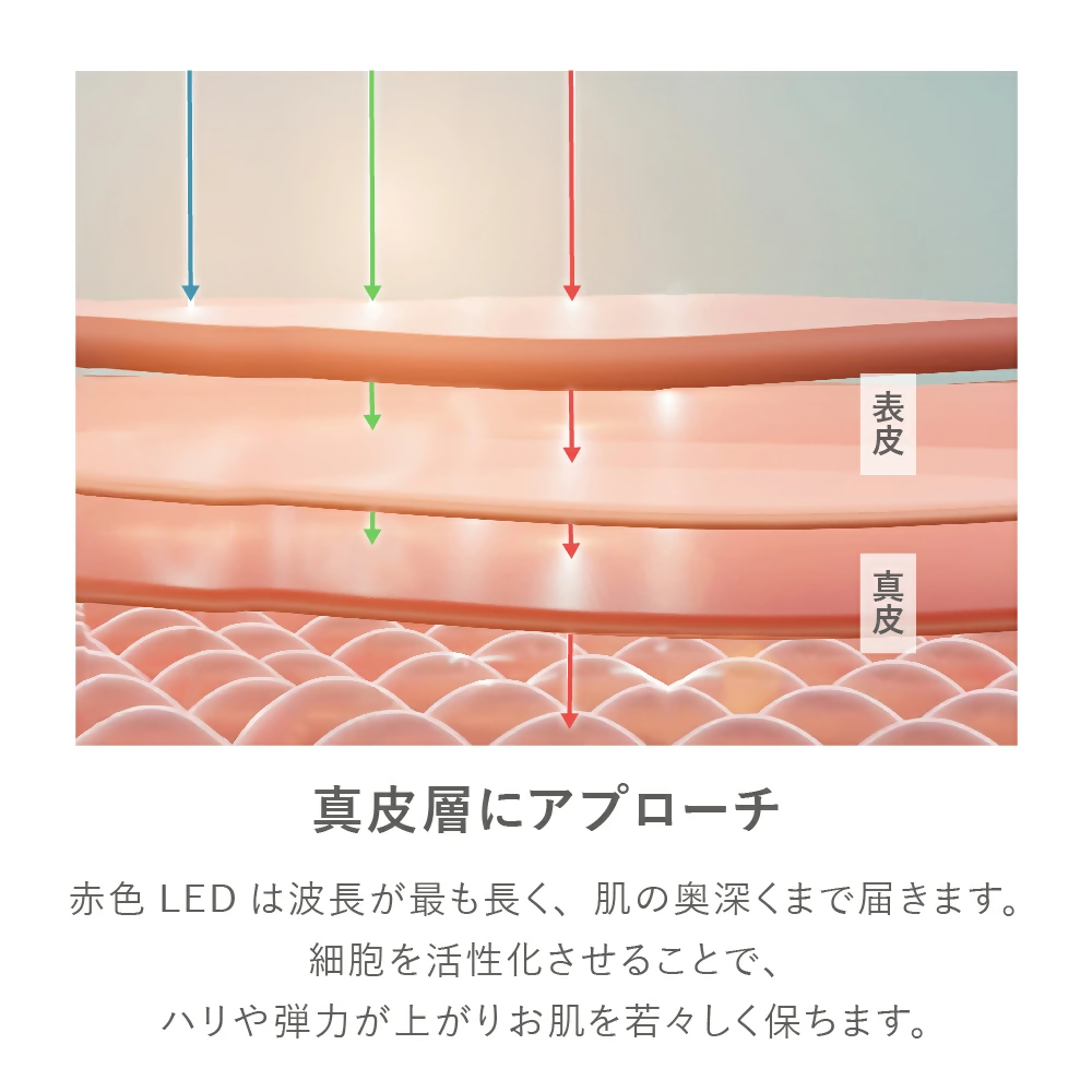 ãLOABI/ãã¢ãå
¬åŒã ãã«ãçŸé¡åš NITENA ããã