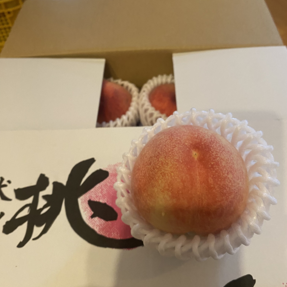 【2026年先行予約】犬山市楽田産 葡萄（シャインマスカット、ナガノパープル）、桃（あかつき）詰め合わせ