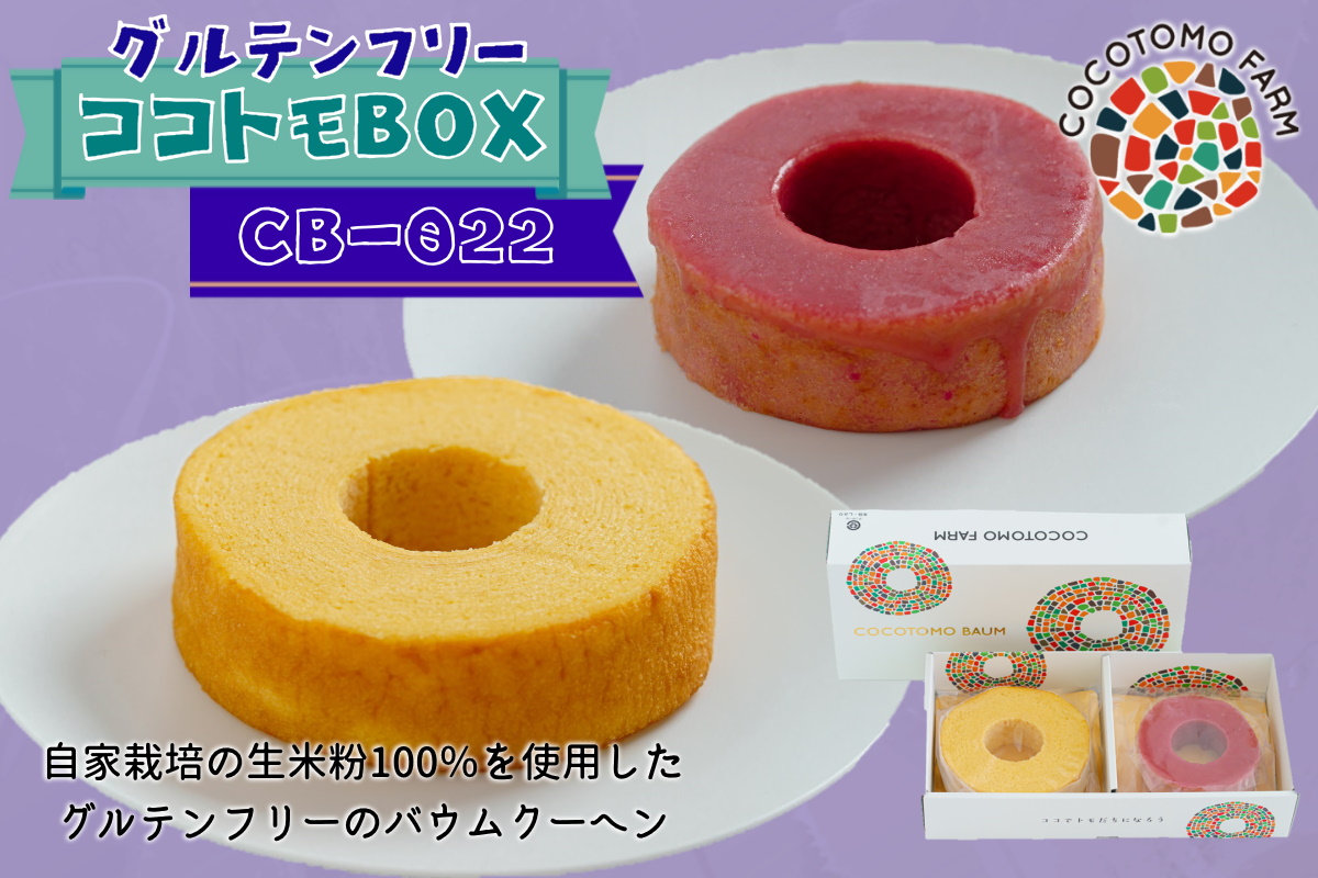 自家製生米粉100%のしっとりバウムクーヘンが人気　ココトモBOX　CB-022