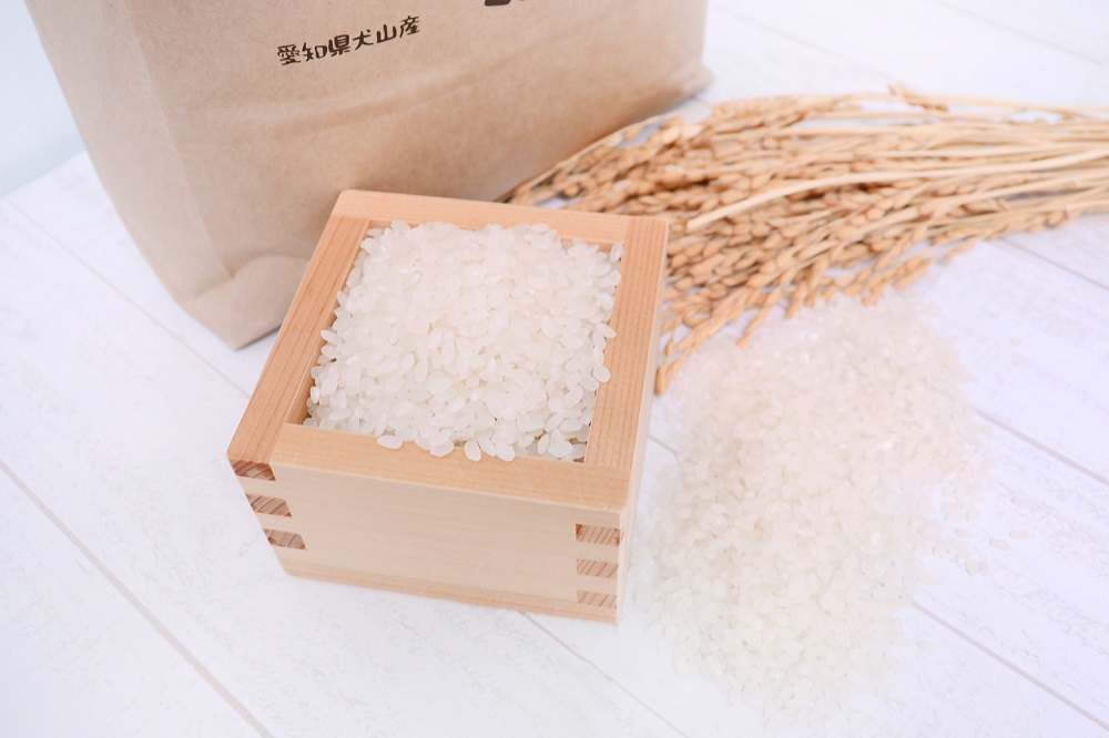 【お米農家のお米１０kg】つきたてのお米をお届け（５kg×２袋）＊ココトモファームで育てたお米