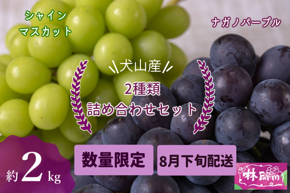 【期間限定・数量限定】犬山産 シャインマスカット＆ナガノパープル2種類詰め合わせ 約2キロ（先行予約）