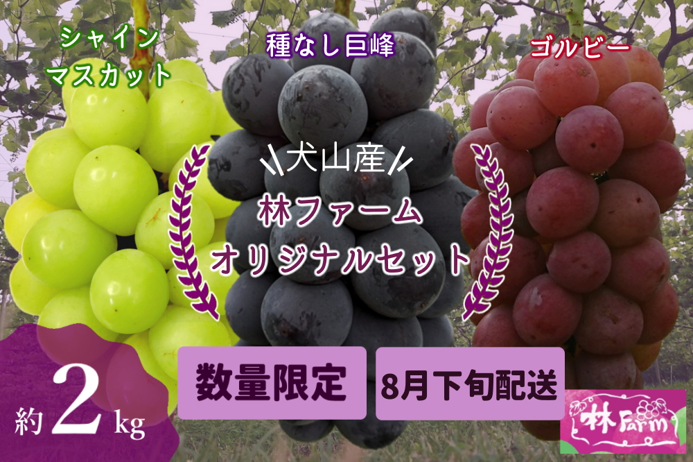 【期間限定・数量限定】犬山産 シャインマスカット入り林ファームオリジナルセット 約2キロ （先行予約）