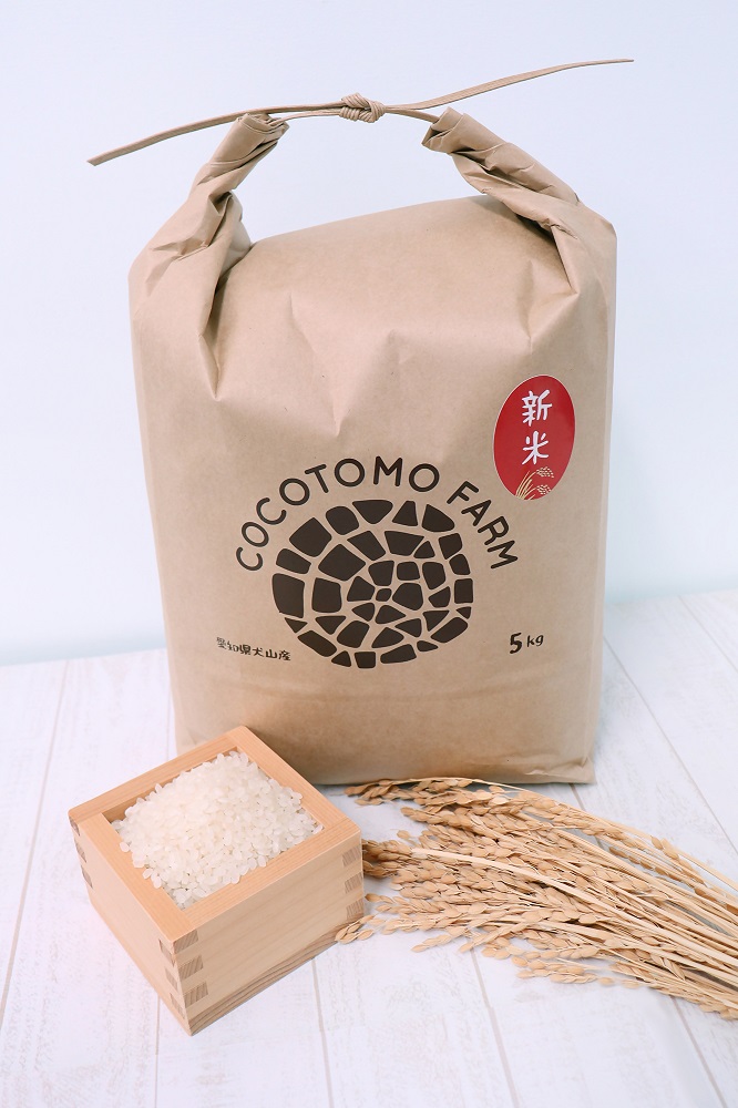 【お米農家のお米１０kg】つきたてのお米をお届け（５kg×２袋）＊ココトモファームで育てたお米