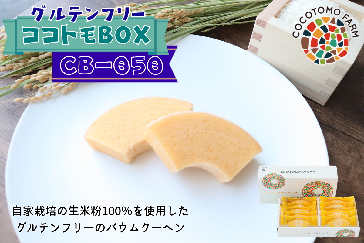 自家製生米粉100%のしっとりバウムクーヘンが人気　ココトモBOX　CB-050