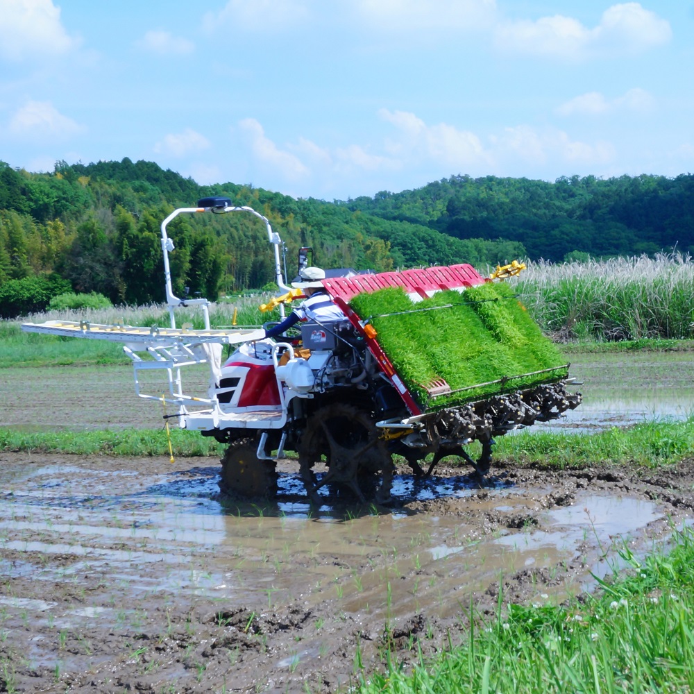 【お米農家のお米５kg】つきたてのお米をお届け（５kg×１袋）＊ココトモファームで育てたお米