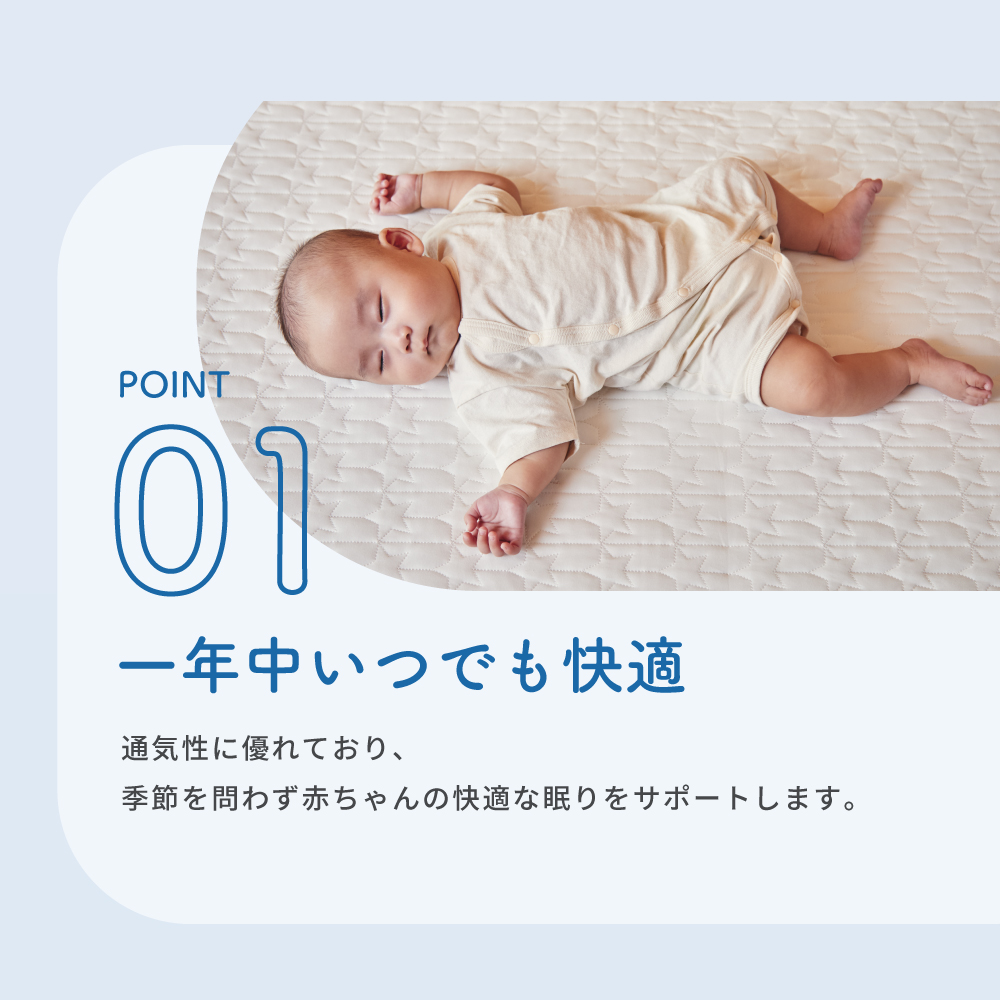 洗えるぐうぐうねんね レギュラー