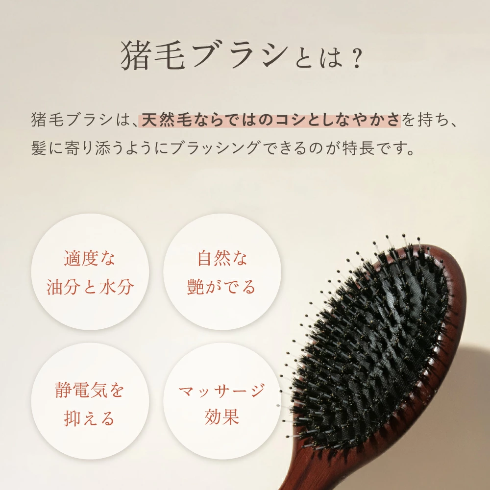 【LOABI/ロアビ公式】 くし ヘアブラシ Caple カプレ（ブナ材 / スリム型）