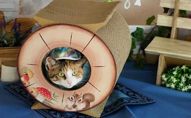 猫の爪とぎ　丸太（ショート・トンネルタイプ）