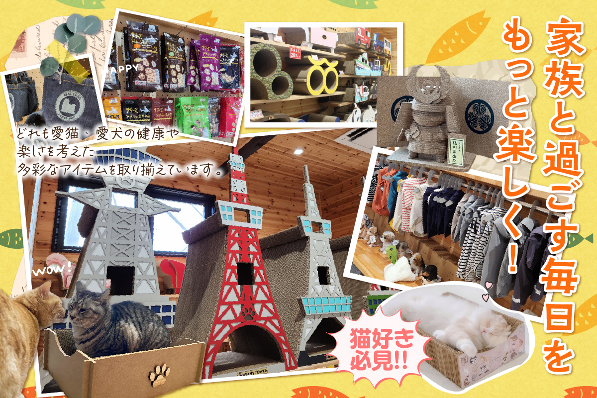 ãããµãšå·¥æ¿ã¯ã¬ã¢ã«åååžã10000ååã