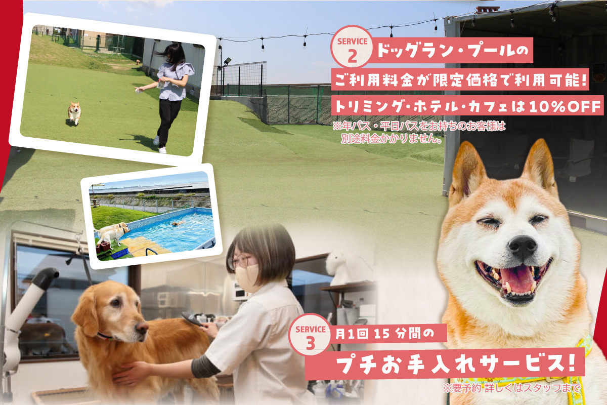 【海を一望できるドッグラン 利用チケット】トワテラメンバーズ