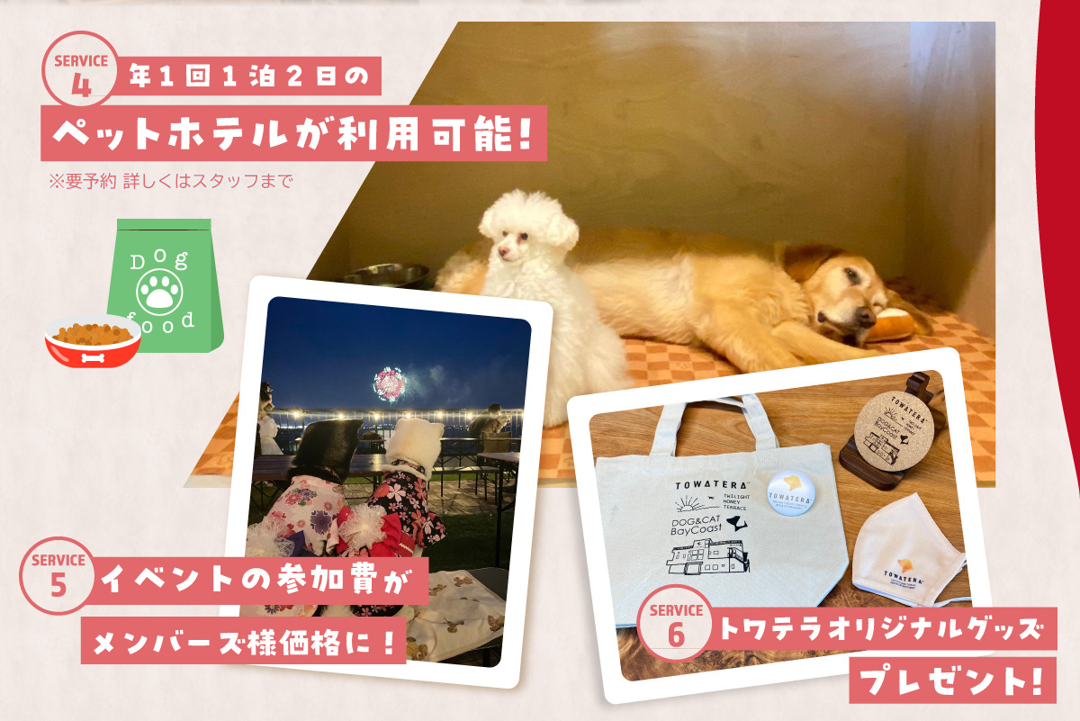 【海を一望できるドッグラン 利用チケット】トワテラメンバーズ