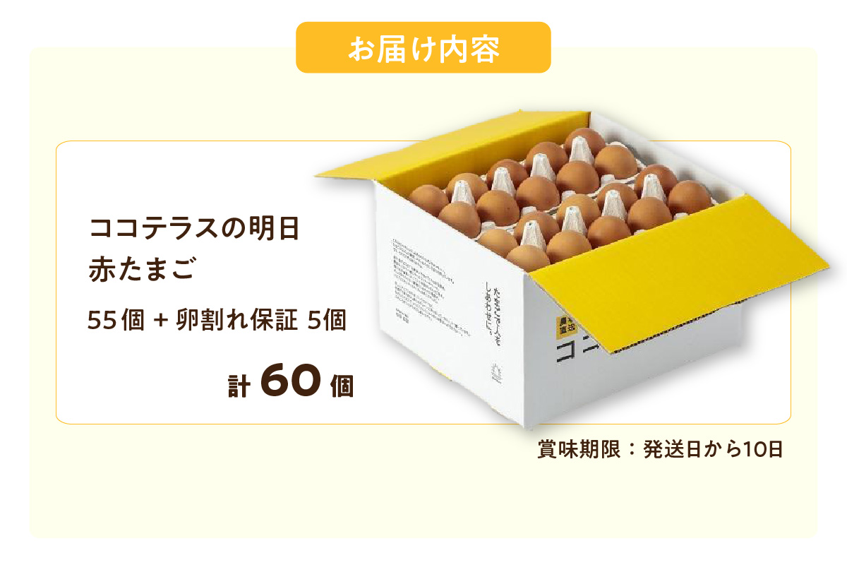 ココテラスの明日（赤たまご）55個 + 5個保証（計60個）【JGAP認証】